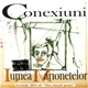 Conexiuni - Lumea Marionetelor