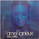 Amel Larrieux - Infinite Possibilities